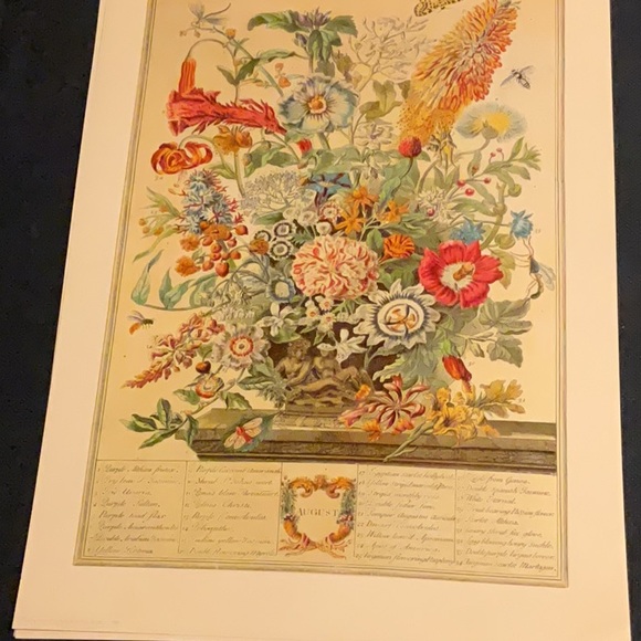 Flowers of the month prints, bundle of August February and October - Picture 12 of 13